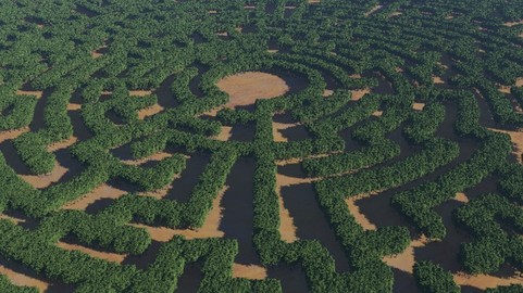 ArtStation - Create a Forest Maze in Terragen | Tutorials