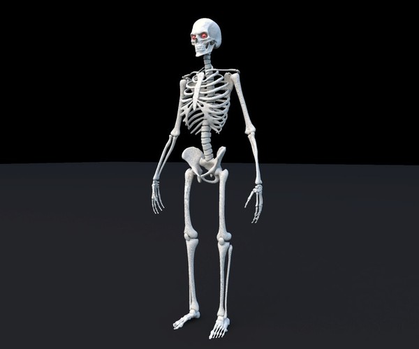 ArtStation - Skeleton Maya Rig | Resources