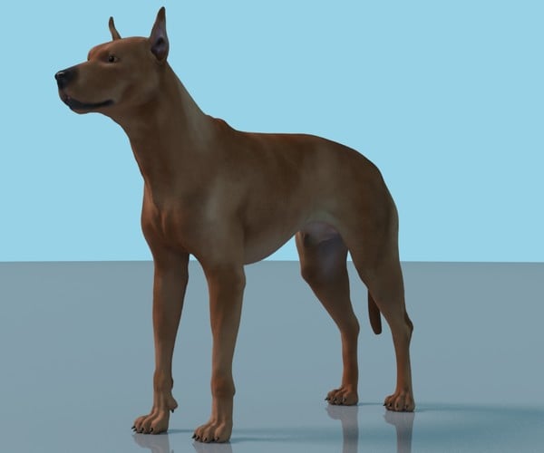 ArtStation - German Pinscher Dog Maya Rig | Resources