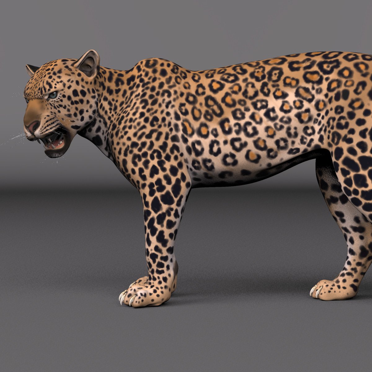 cheetah3d python