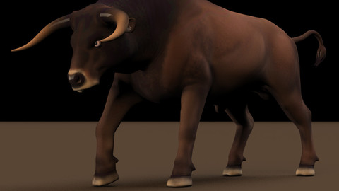 Bull Maya Rig