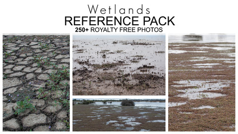 Reference Pack - Wetlands 250+ Royalty Free Photos