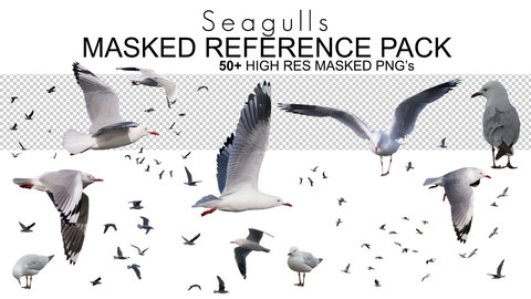 Masked Reference Pack - Seagulls - 50+ Royalty Free Photos