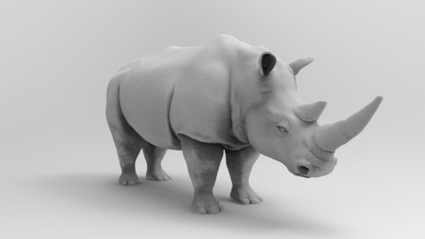 Rhinoceros