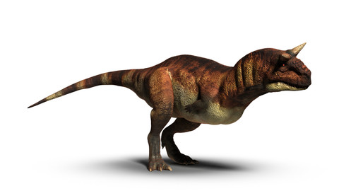 Carnotaurus dinosaur - 3D model