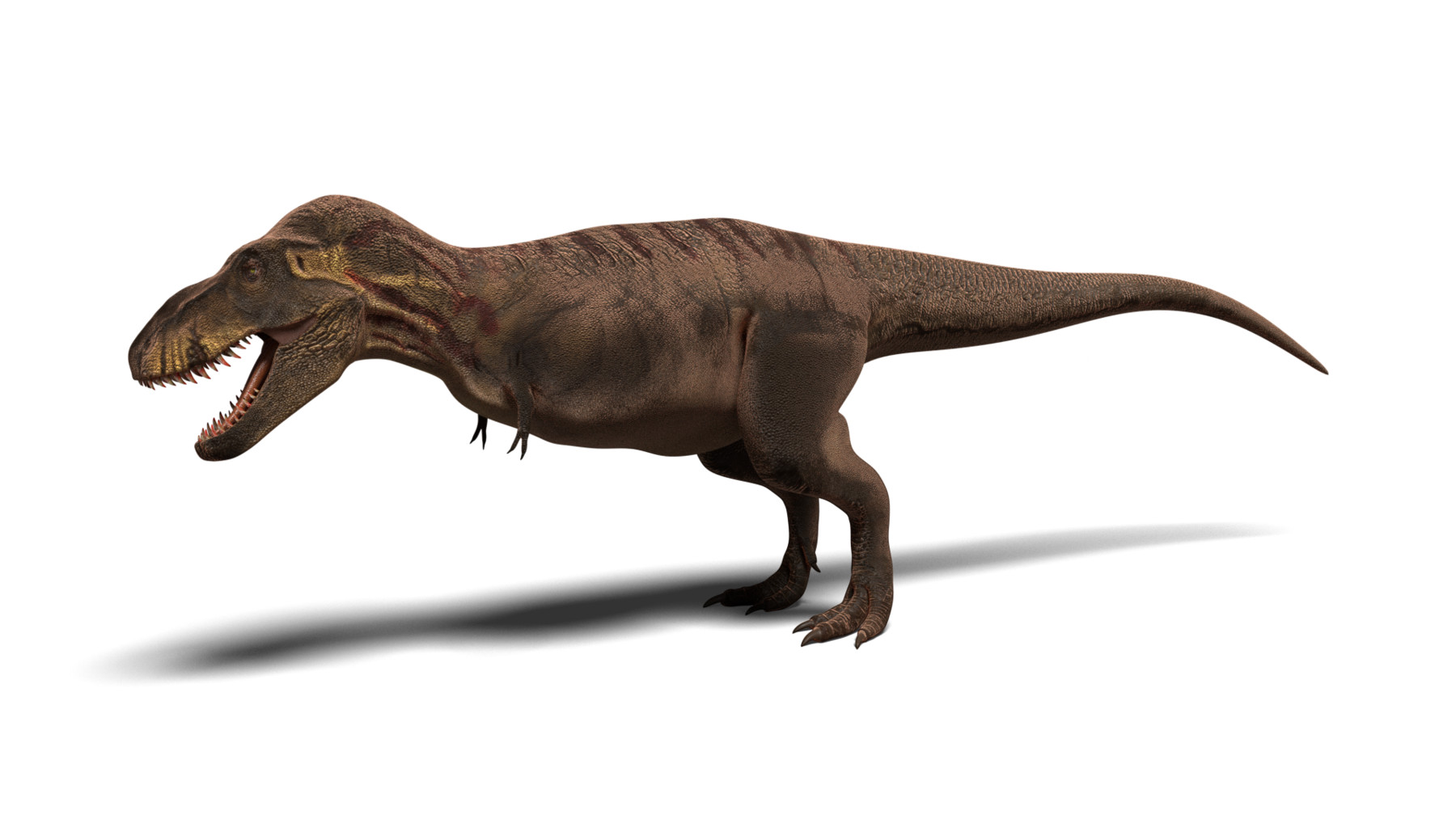 t rex 3d model