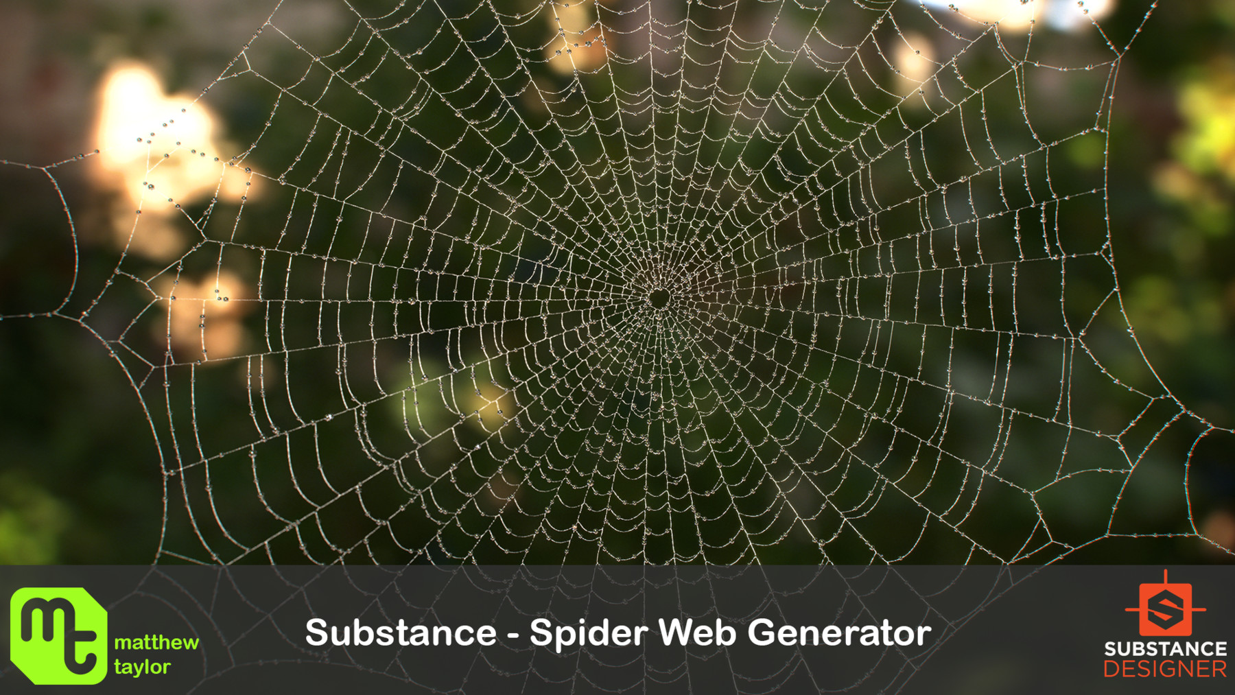 ArtStation - Substance - Spider Web Generator | Resources