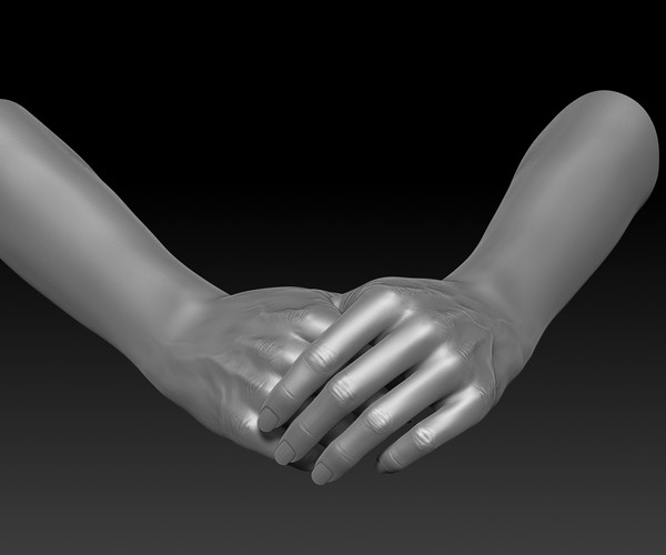 Artstation 3d Printable Female Hands 20 Poses Pack Resources