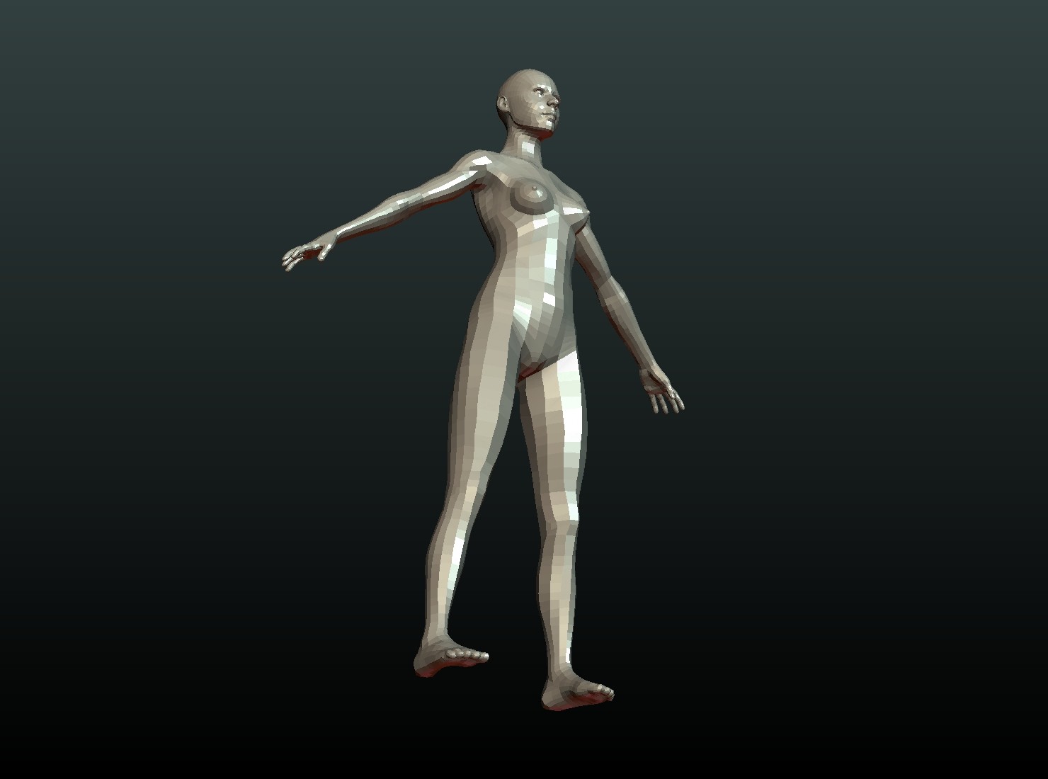 Female Custom Base Mesh 3d Model