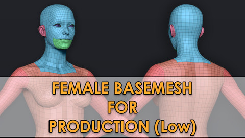 Female Basemesh (low poly) V2