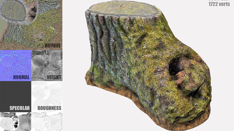Mossy Tree Stump