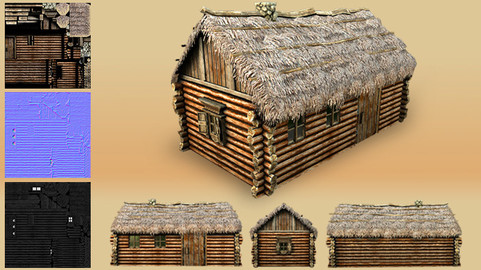 Wooden Thatch House