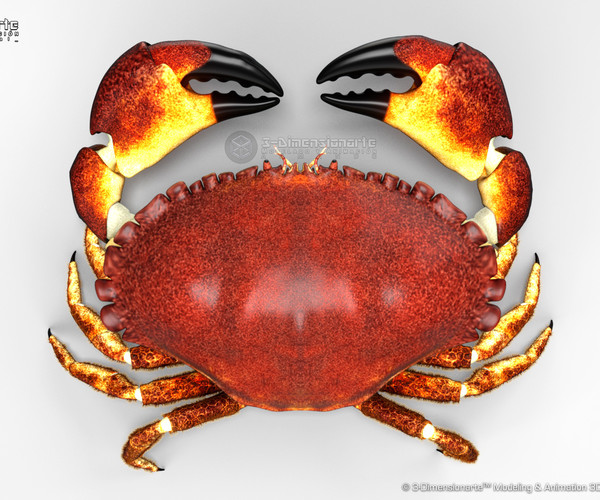 crab game engine