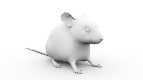 Mouse Basemesh - Realistic Style