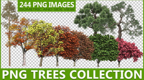 PNG Trees Collection