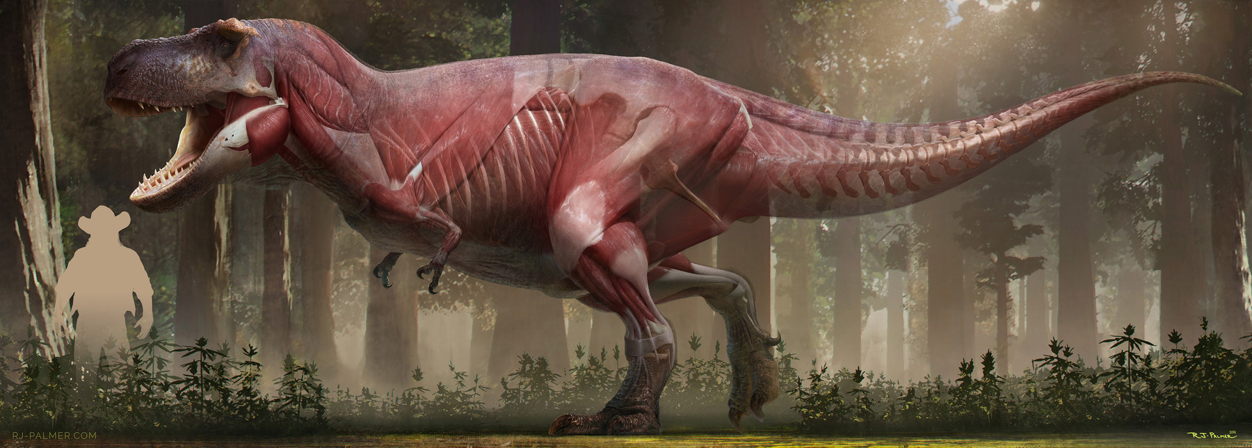 I give to you the ultimate muscle reference file for T. rex. 
