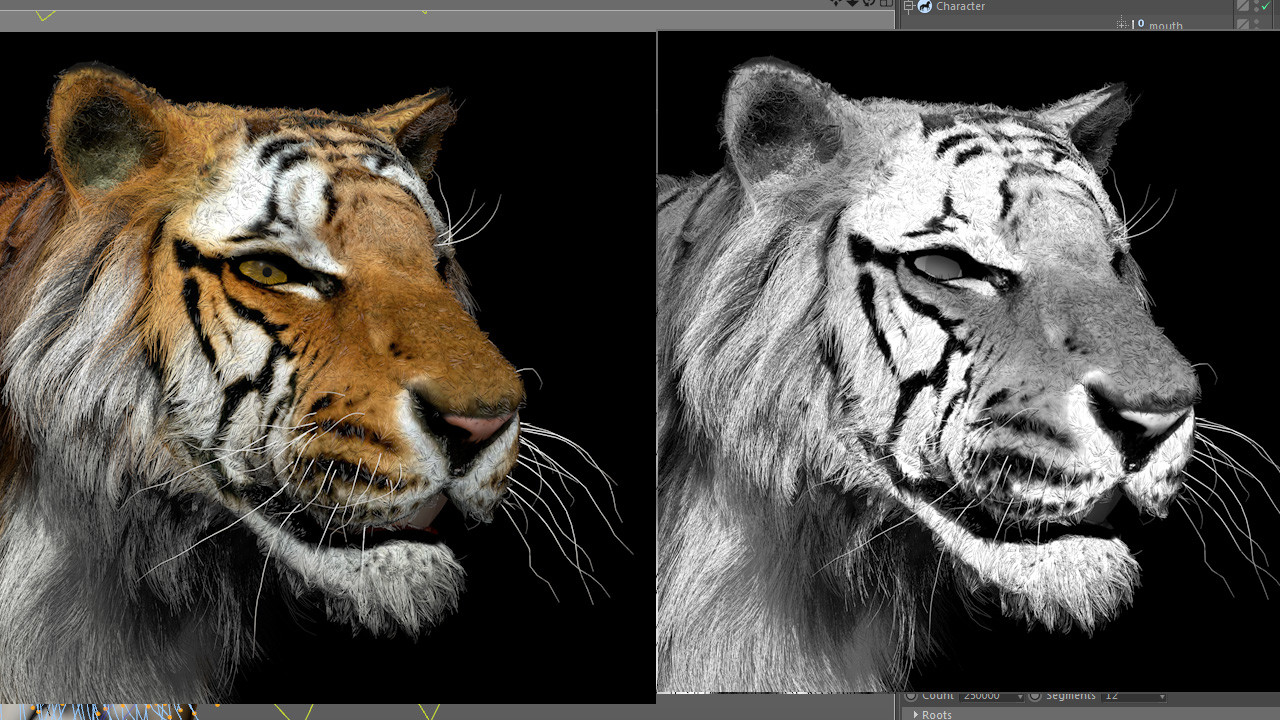 3D Tiger On Camera Tutorial In Hindi