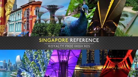 REFERENCE PACK - SINGAPORE