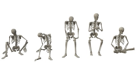 Skeleton Sitting Poses - Low-poly 3D model