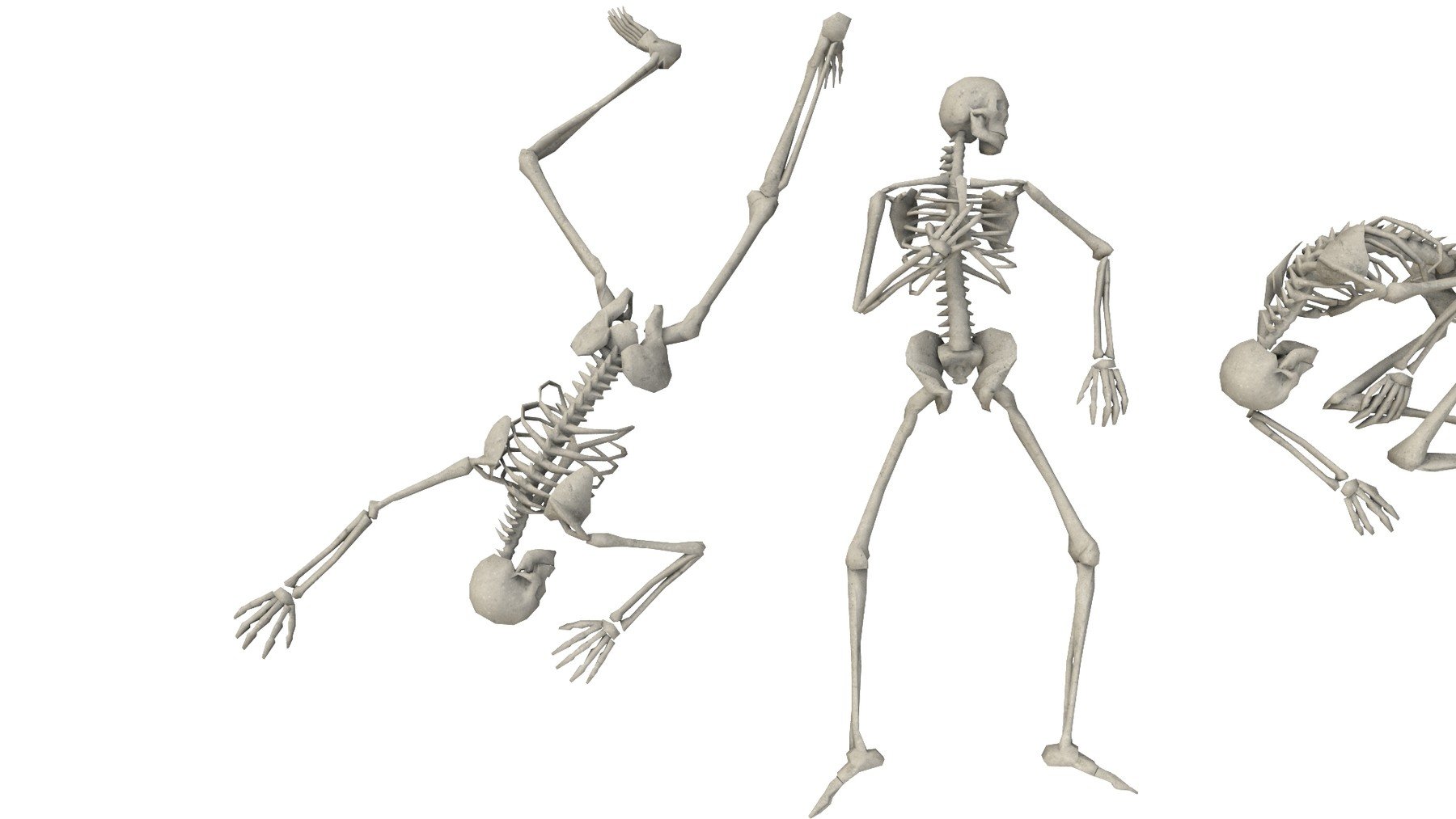 ArtStation Skeleton Laying Poses Lowpoly 3D model Resources