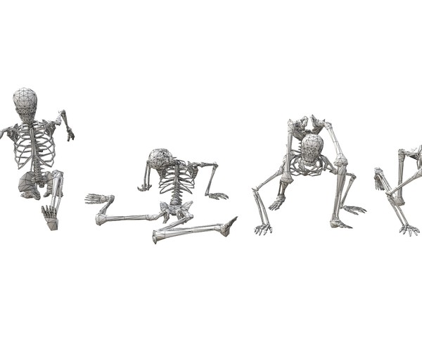 Skeleton Yoga Stock Illustrations – 233 Skeleton Yoga Stock Illustrations,  Vectors & Clipart - Dreamstime