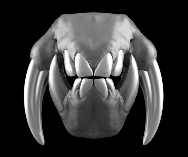 ArtStation - CREATURE KITS: Bundle 1 - 4 Teeth & Gums Sets - High Poly ...