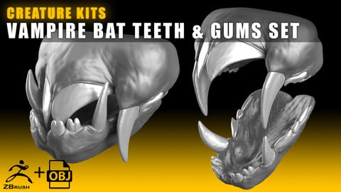 CREATURE KITS: Vampire Bat Teeth & Gums - High Poly OBJ File / ZBrush File with Subdivisions