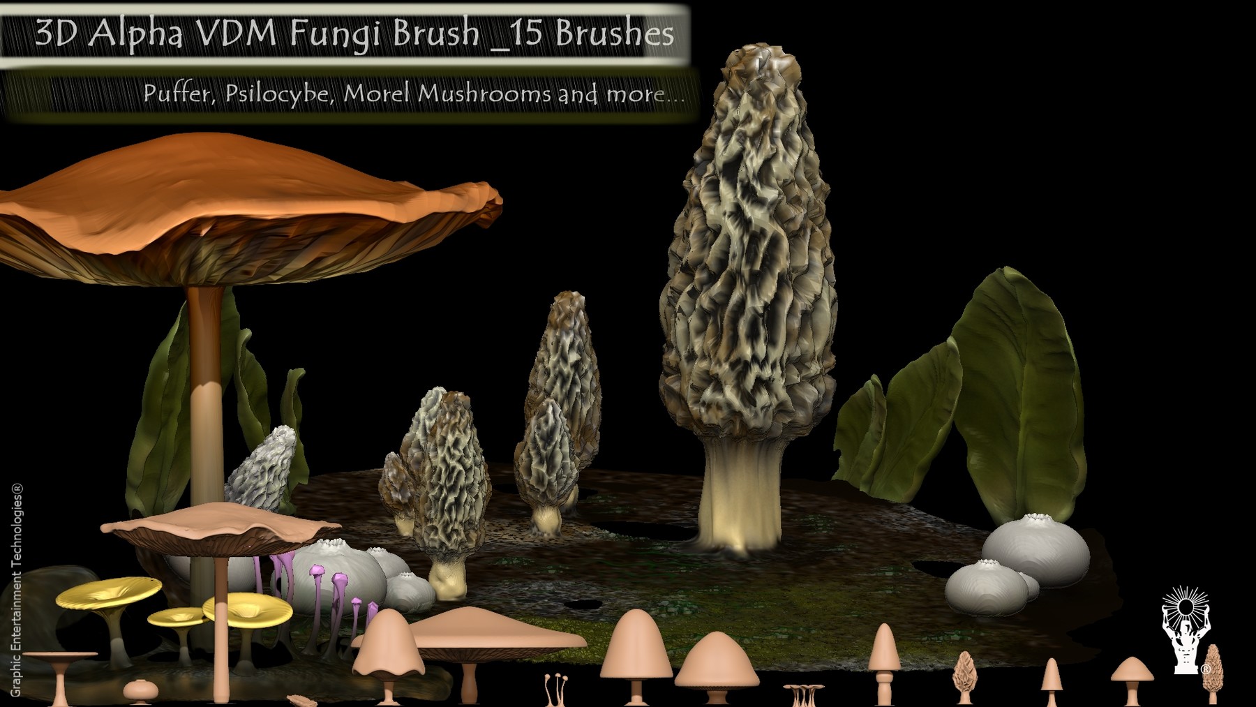 Mushroom brush, Brushes