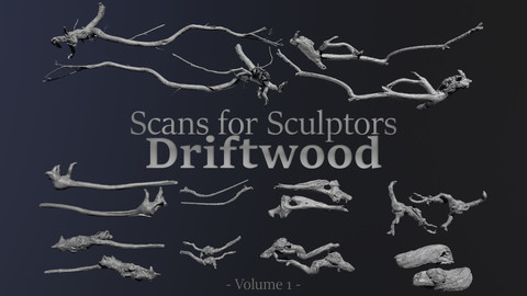 Driftwood - Scans for Sculptors - Volume 1