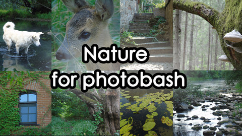 Nature stock for photobash