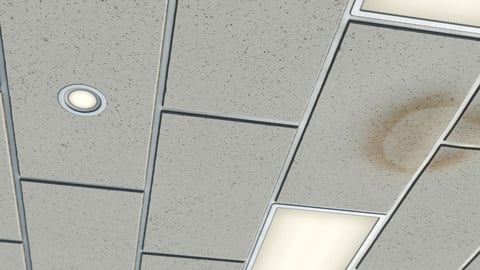 Ceiling Tiles and Lights