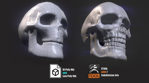 Low and Hi poly Skull