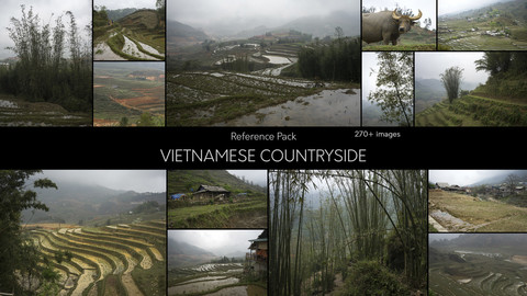 Vietnamese Countryside