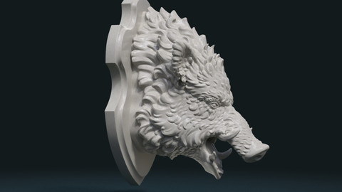Wild Boar Mounted Head