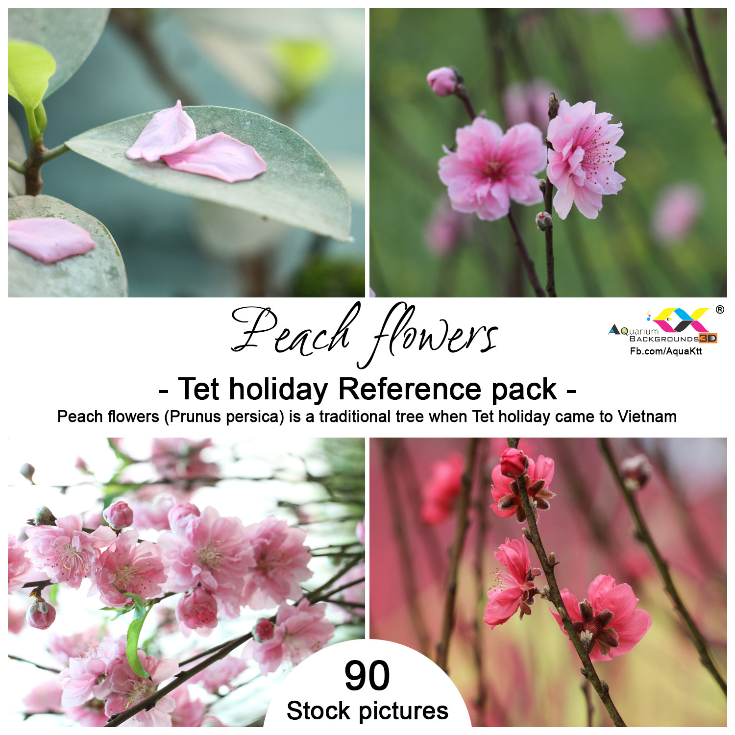 Artstation Peach Flower At Tet Holiday Reference Pack Resources