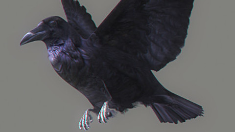 Animated Crow