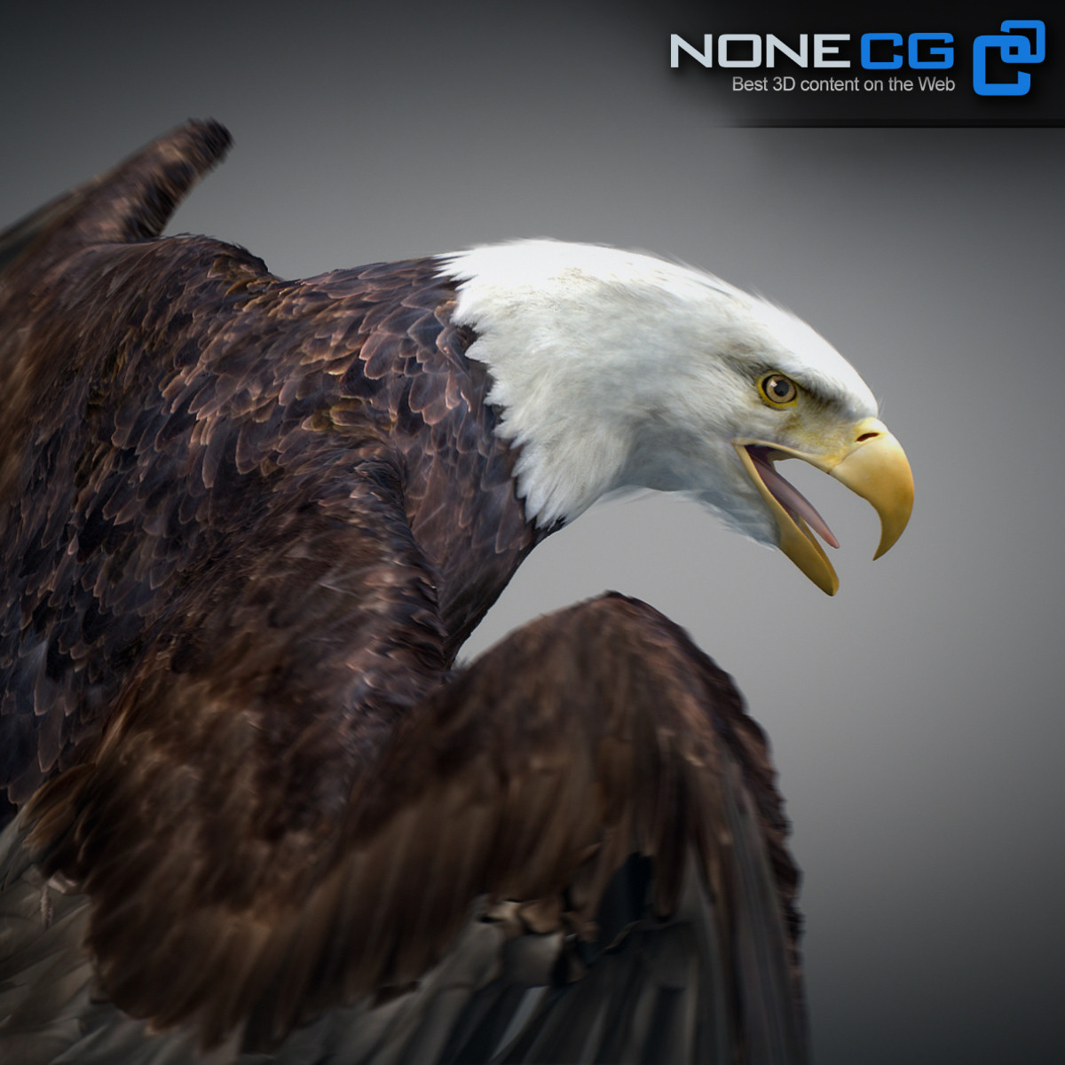 ArtStation - Animated Bald Eagle | Game Assets