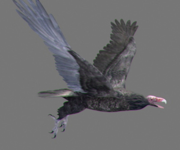 ArtStation - Animated Vultures | Resources