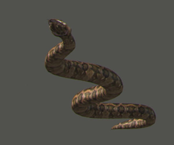 ArtStation - Pack – Snakes | Game Assets