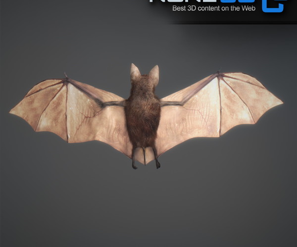 ArtStation - Vampire Bat | Game Assets