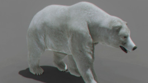 Animated Polar Bear