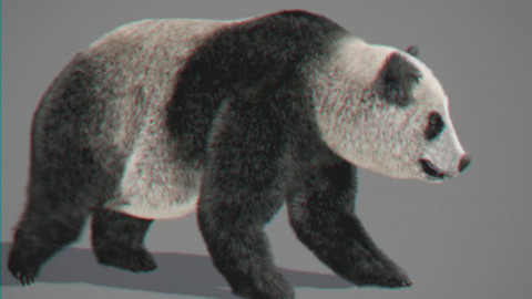 Animated Panda Bear