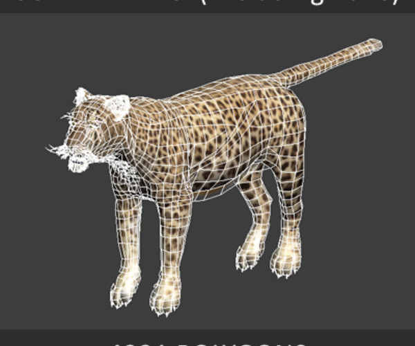 ArtStation - Animated Leopard | Game Assets