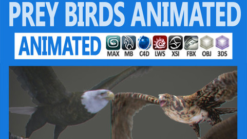 Pack – Prey Birds Animated