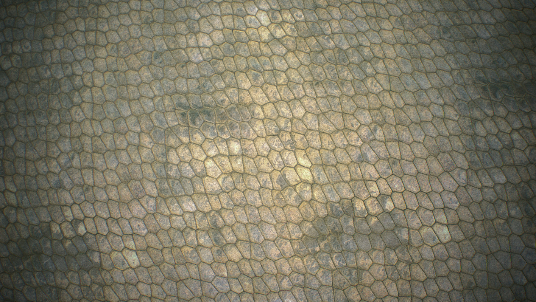 ArtStation Reptile skin texture pack Resources