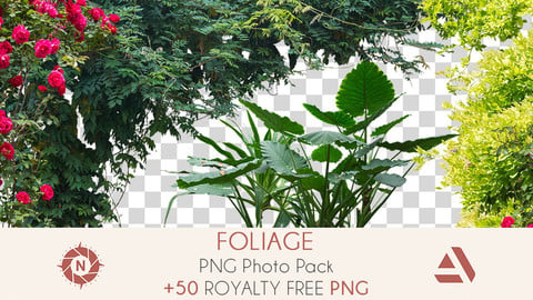 PNG Photo Pack: Foliage