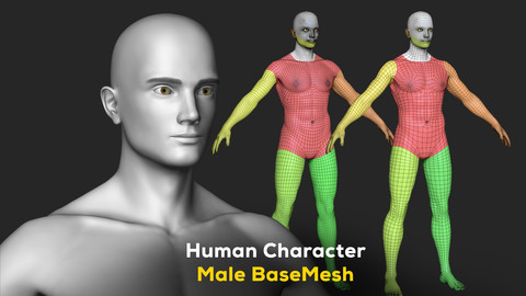 Human Character Male BaseMesh - Man Body