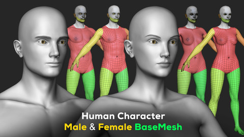 Human Character - Female and Male Basemesh Pack - Woman and Man