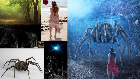 Somewhere in the dark