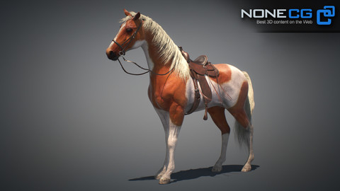 Horses Maya v3